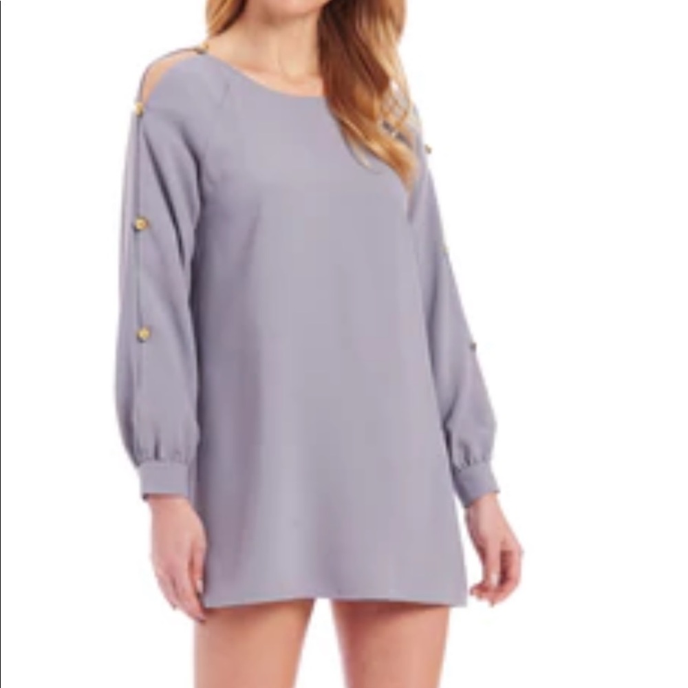 NWT Amanda Uprichard Genesee dress in grey. Size XS